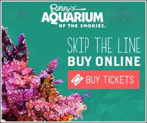 Ripley's Aquarium of the Smokies Skip The Line Buy Onlinets