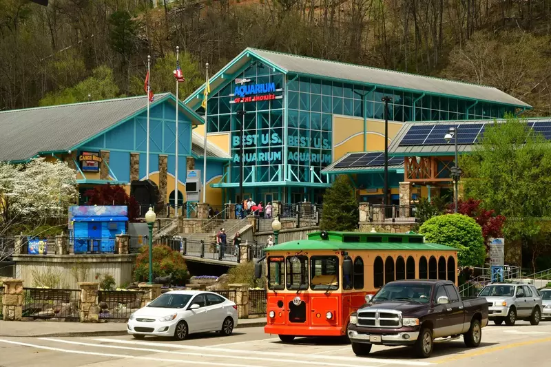 Ripleys Aquarium of the Smokies