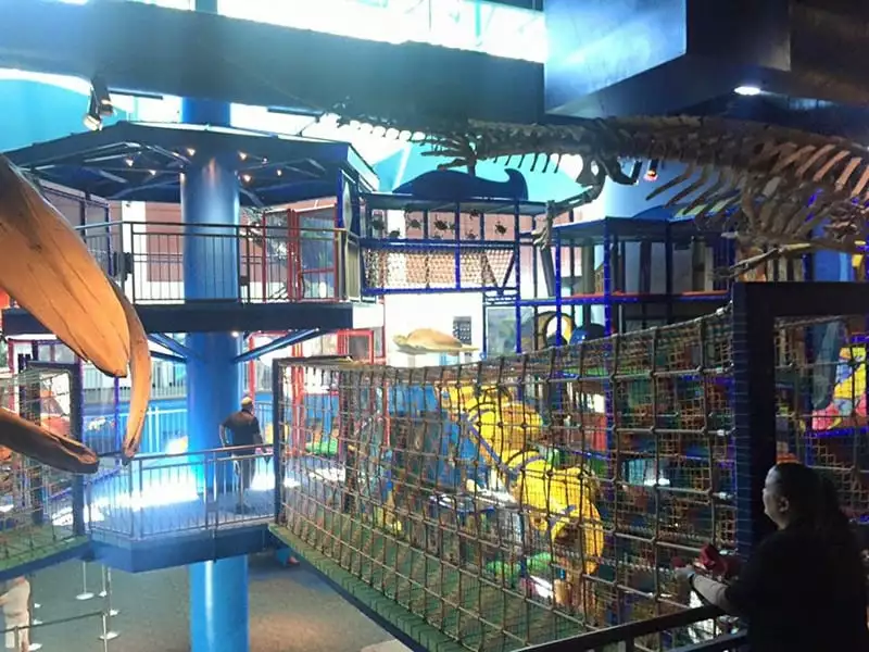 Ripley's Aquarium play structure