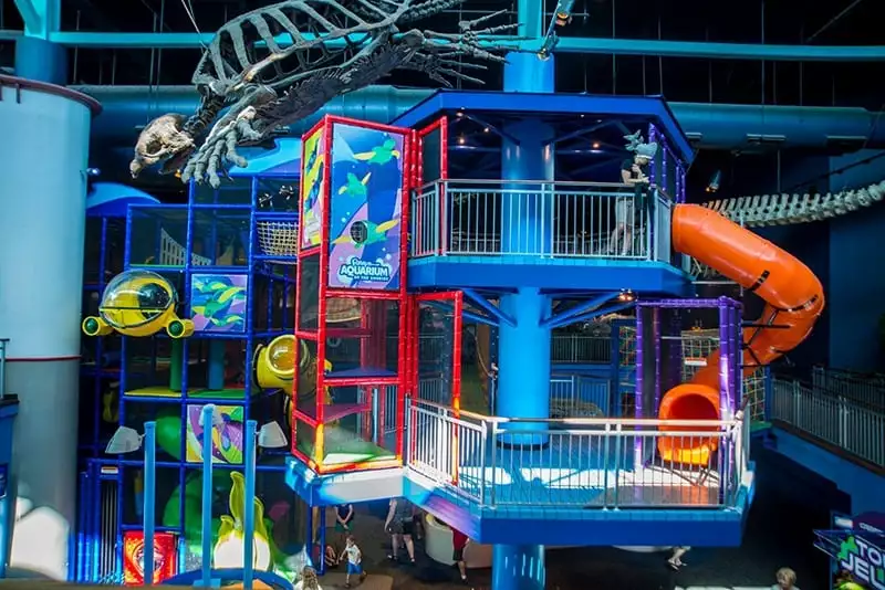 Ripley's Aquarium play structure