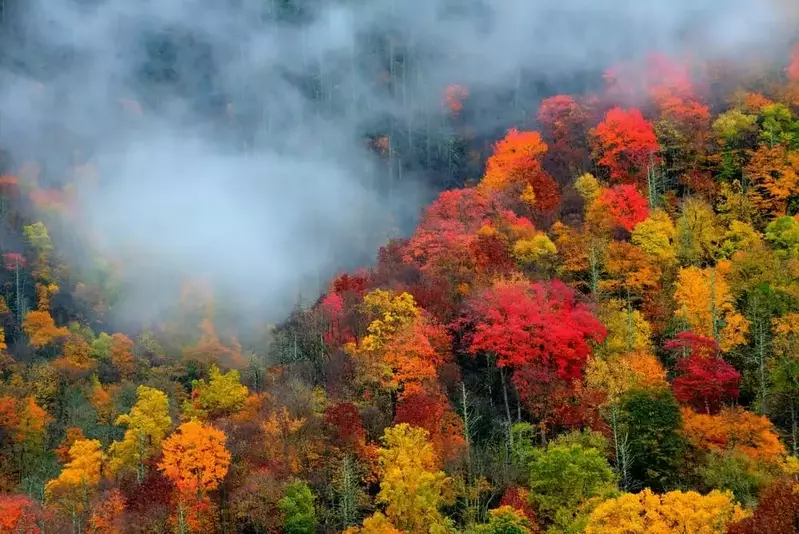 Gatlinburg fall colors in the Smoky Mountains