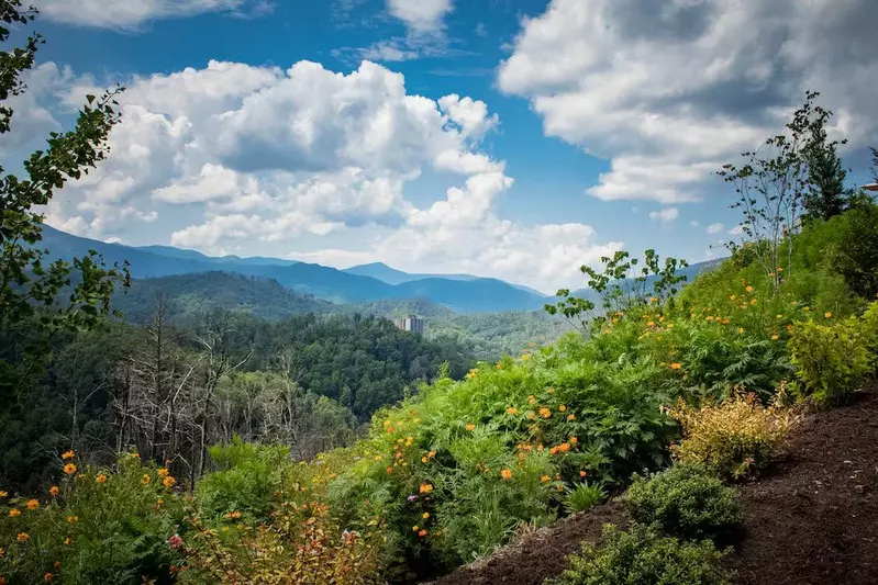 view of the mountains and flowers blooming from anakeesta