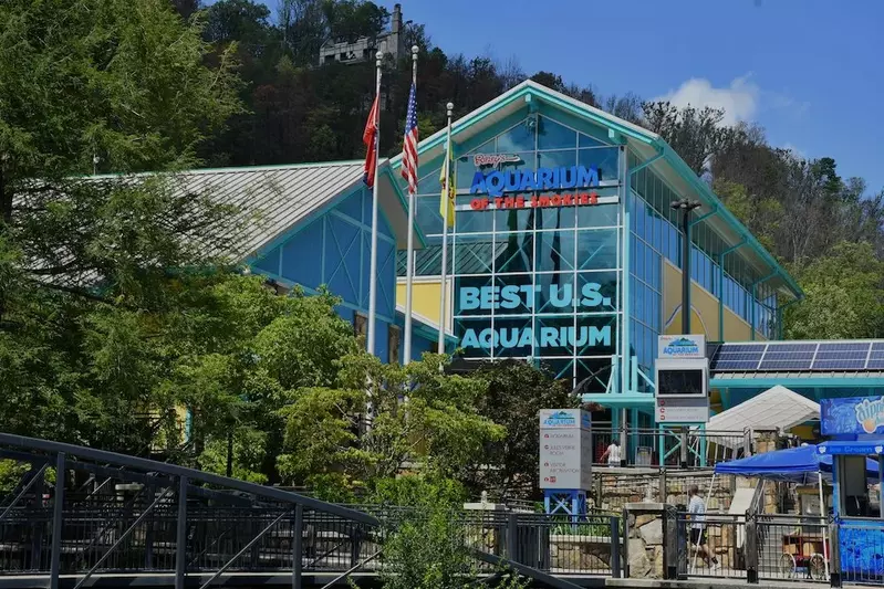 ripley's aquarium in gatlinburg