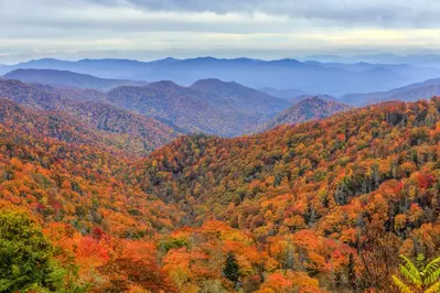 fall in the smoky mountains colorful leaves