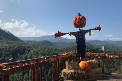 anakeesta gatlinburg in the fall