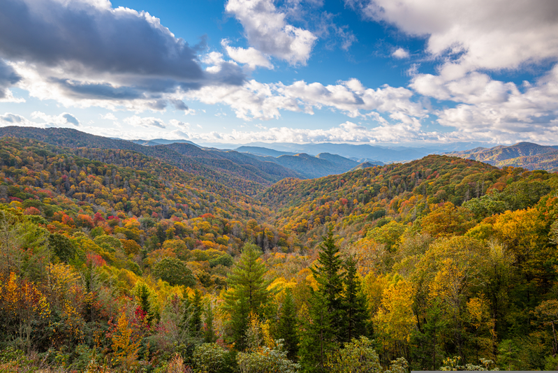 smoky mountains