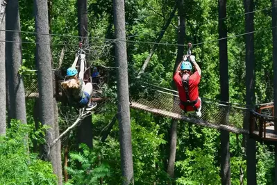 ziplines at anakeesta