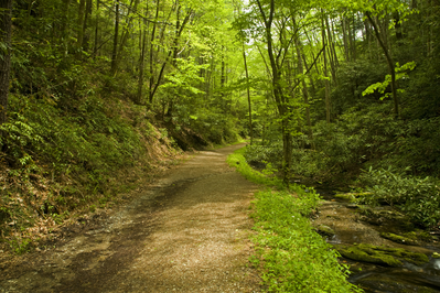 schoolhouse gap trail in the smoky mountains