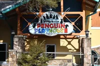 Penguin Playhouse at Ripleys Aquarium