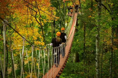 Sky Bridge at CLIMB Works