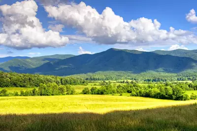 spring-in-the-smoky-mountains