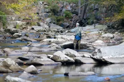 Fishing in the Smoky Mountains