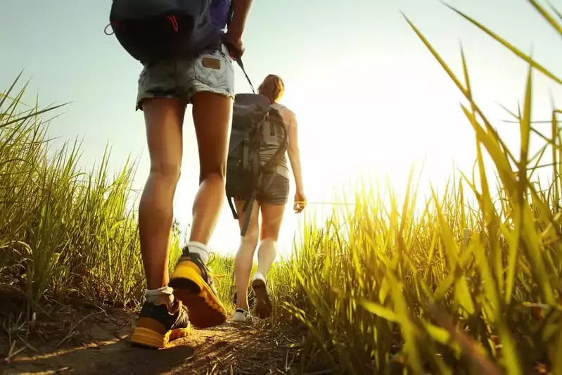 Smoky Mountain hikers