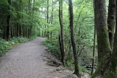 path through the smoky mountains