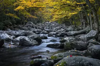 Mountain stream in the Great Smoky Mountains