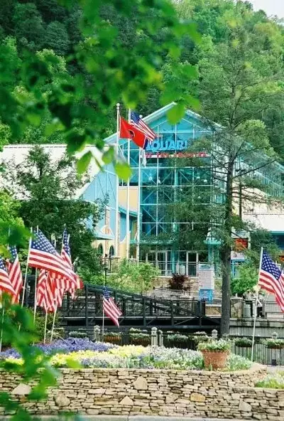 Gatlinburg Aquarium hidden behind trees