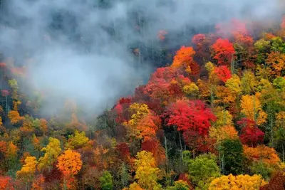 Fall colors in the Smoky Mountains