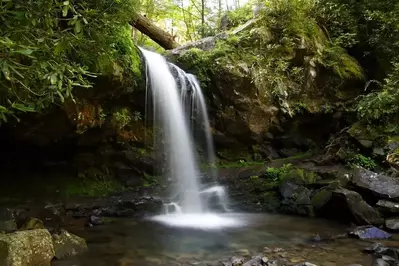 Grotto Falls in the Smoky Mountains