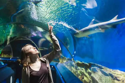 Ripley’s Aquarium