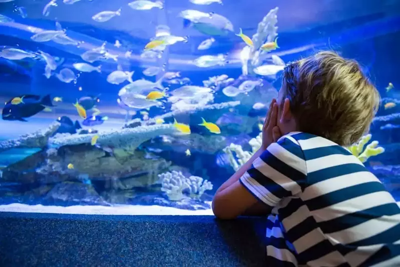 Boy-sitting-in-front-of-fish-tank-at-aquarium