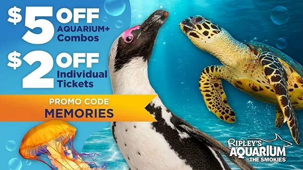 ripleys-aquarium-promo-code-fall-2024