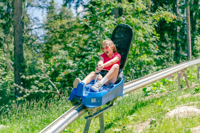 anakeesta mountain coaster