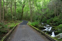roaring fork rd