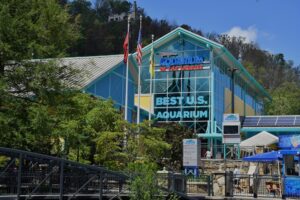 ripley's aquarium indoor things to do in gatlinburg